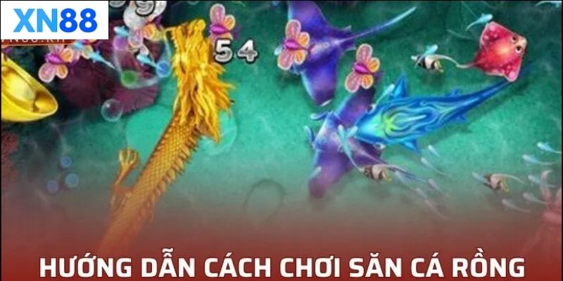 Những lưu ý khi tham gia Bắn Cá Rồng
