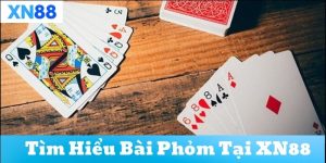 Thuật ngữ quan trọng trong Bài Phỏm